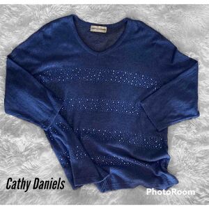 Cathy Daniels SZ 1X Woman’s Beautiful Blue Sweater With Embellishments